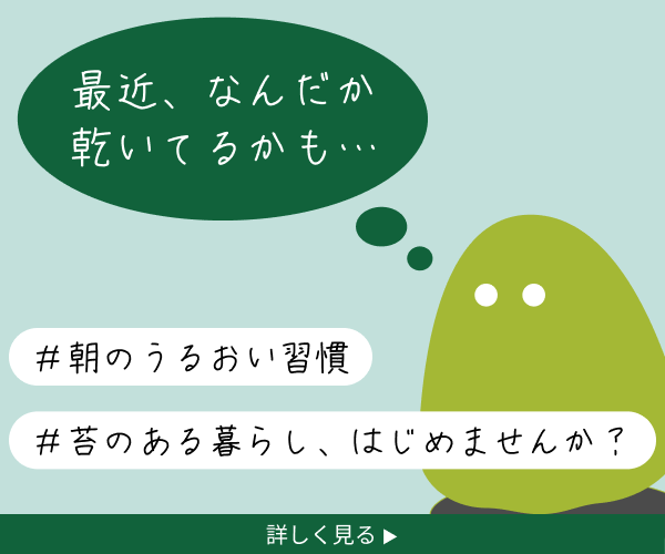 苔旅予約の広告
